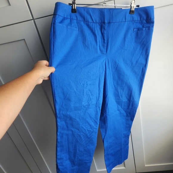 Ann Taylor Factory Blue The Crop Curvy Fit Pants 8 - Picture 3 of 9